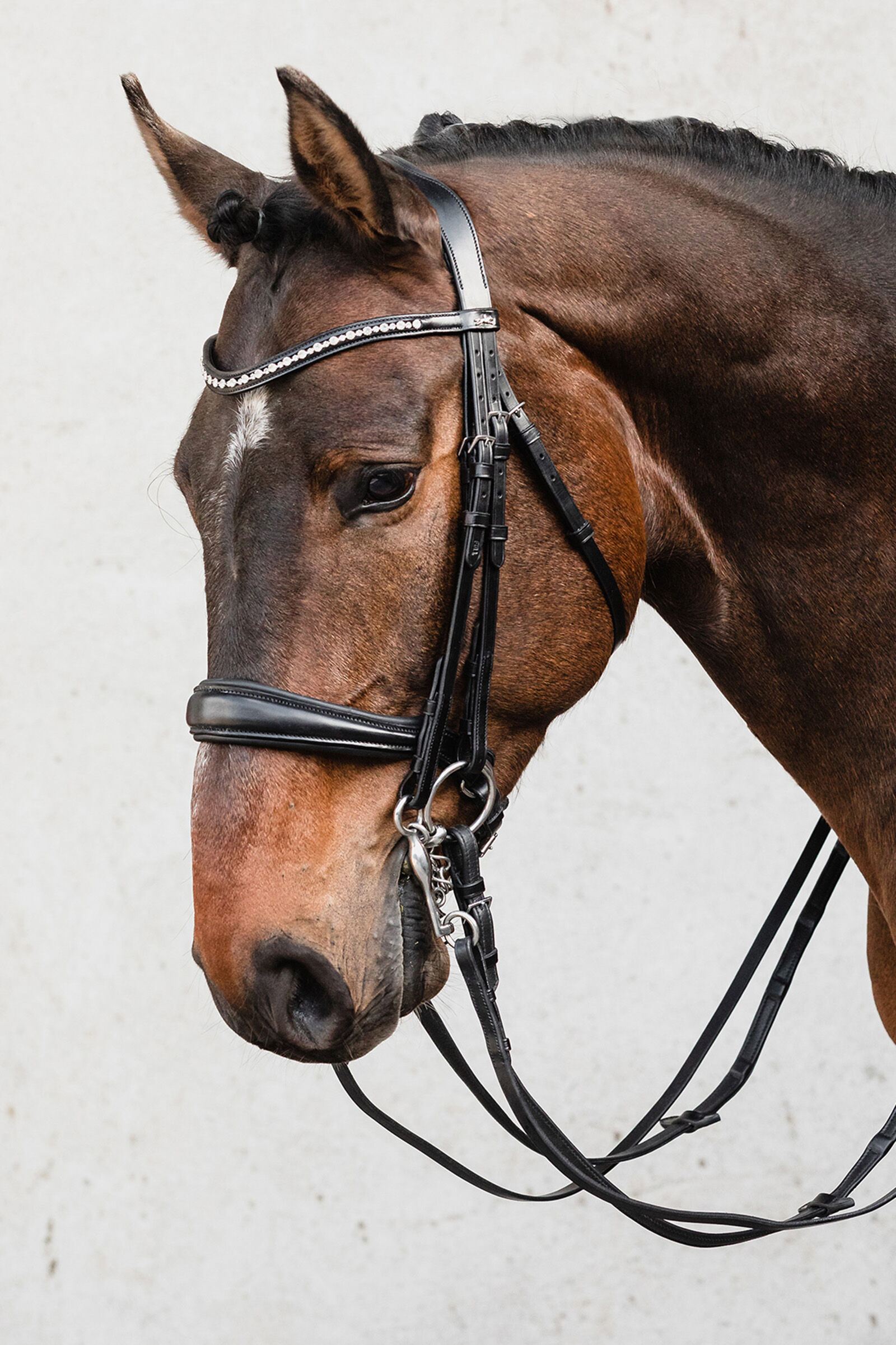Schockem hle Milton Anatomic Double Bridle horze