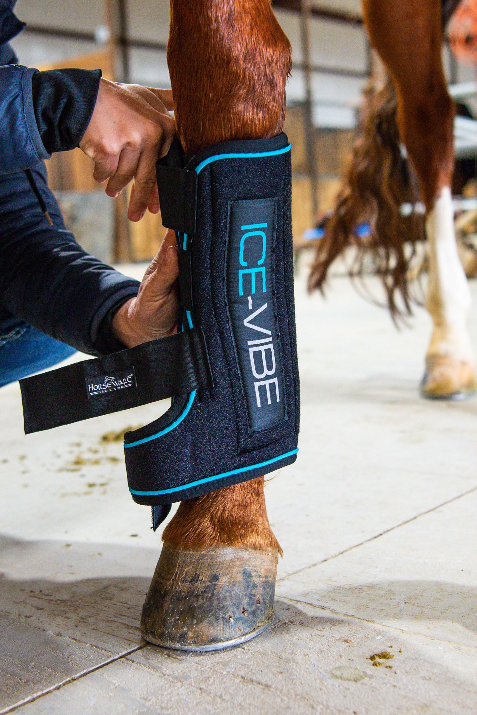 Horseware Ice Vibe Boots