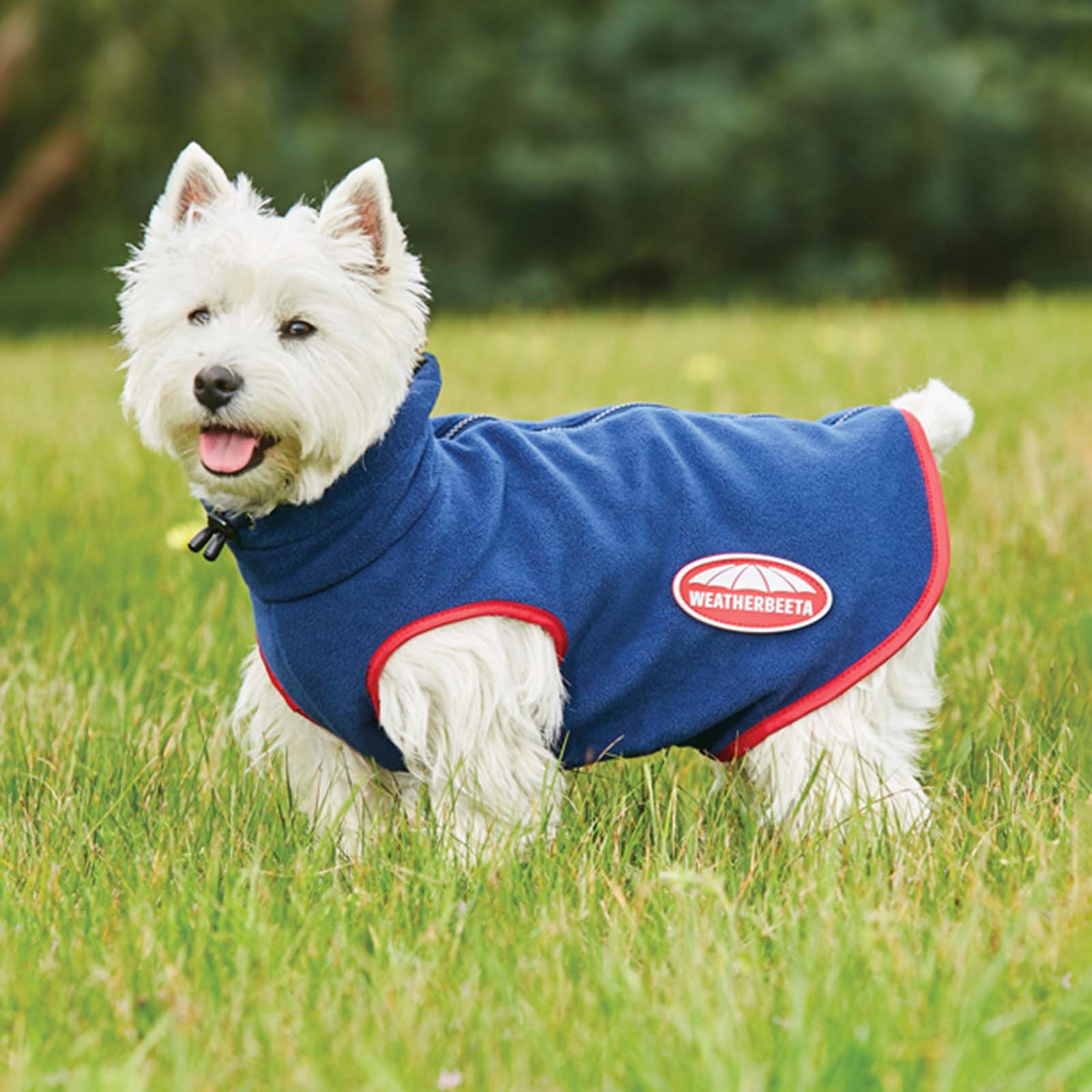Fleece sales dog jacket