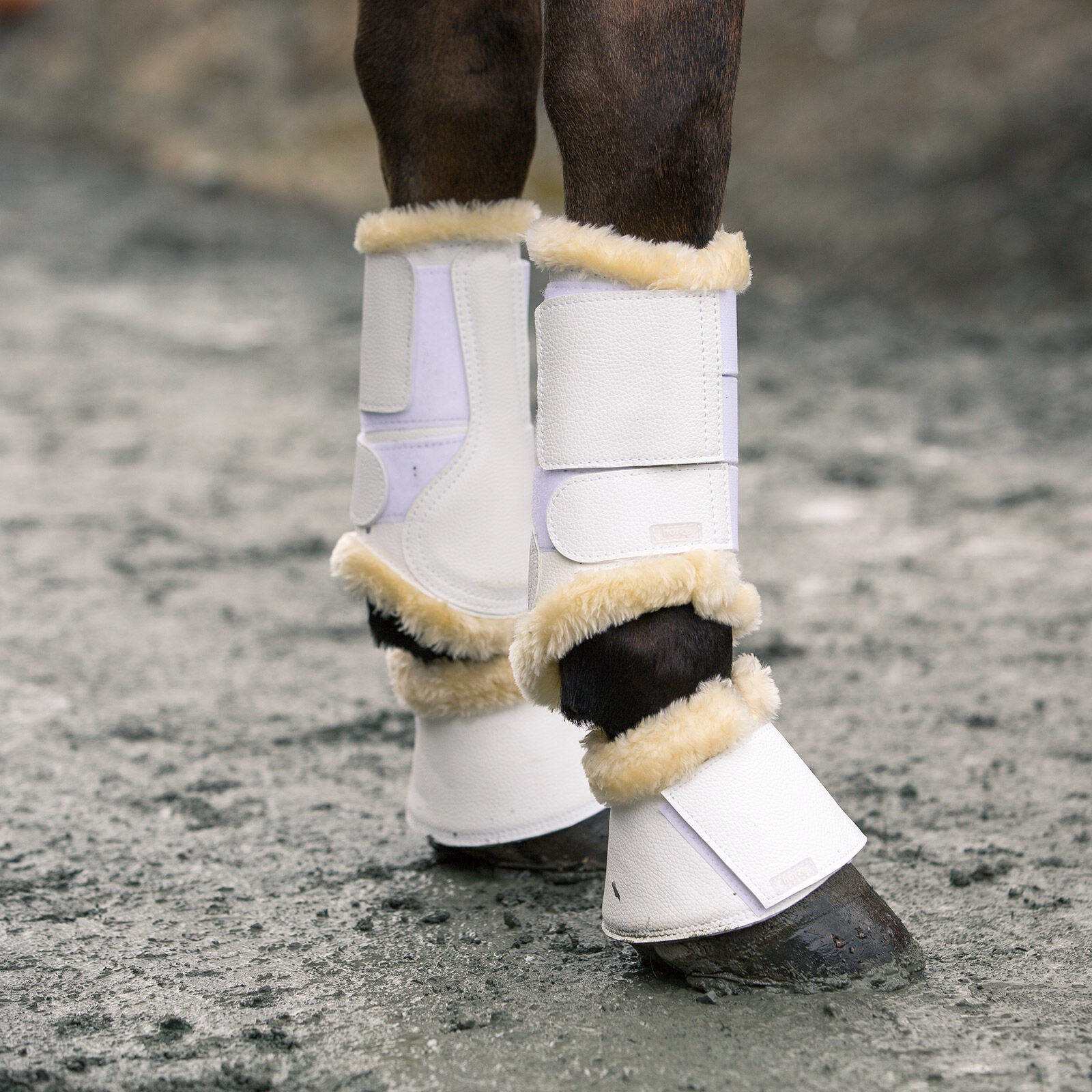 Horze Signature Bell Boots horze