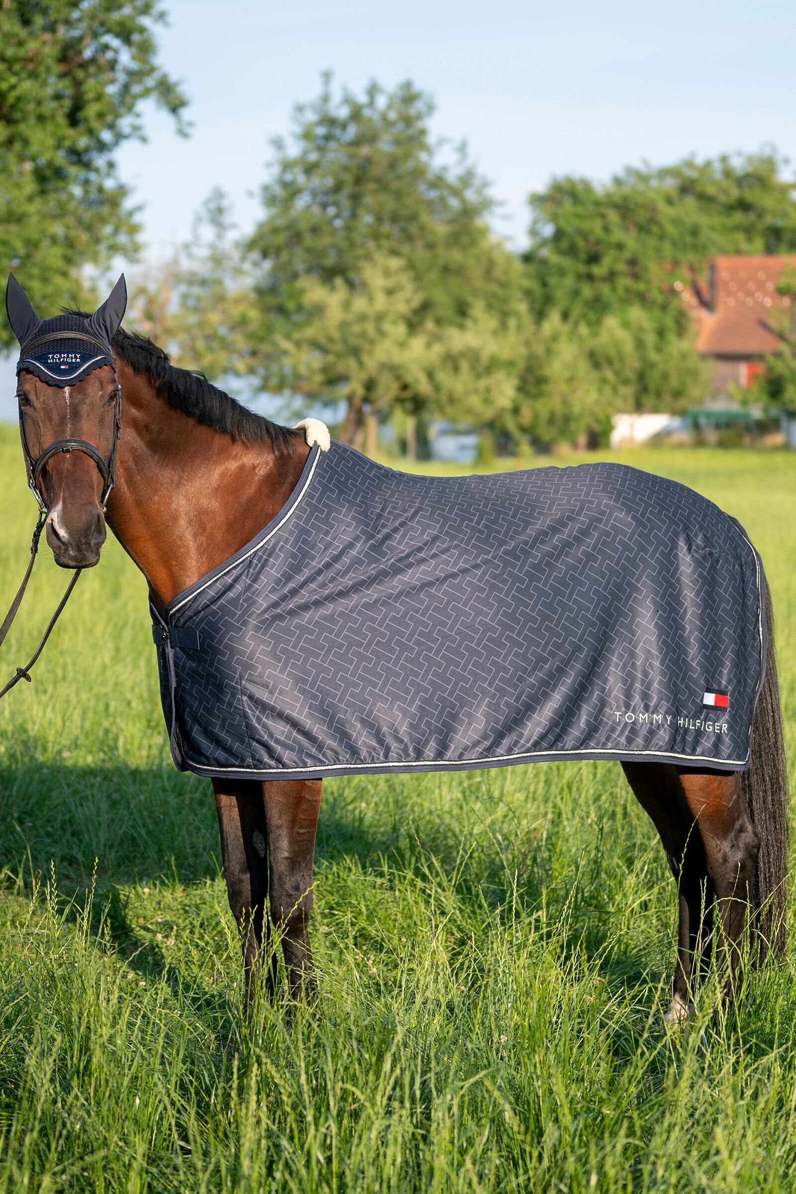 Tommy hilfiger sales rugs