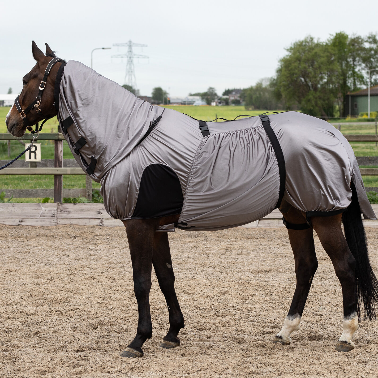 Harry s Horse Sweet Itch Rug with fixed Neck horze