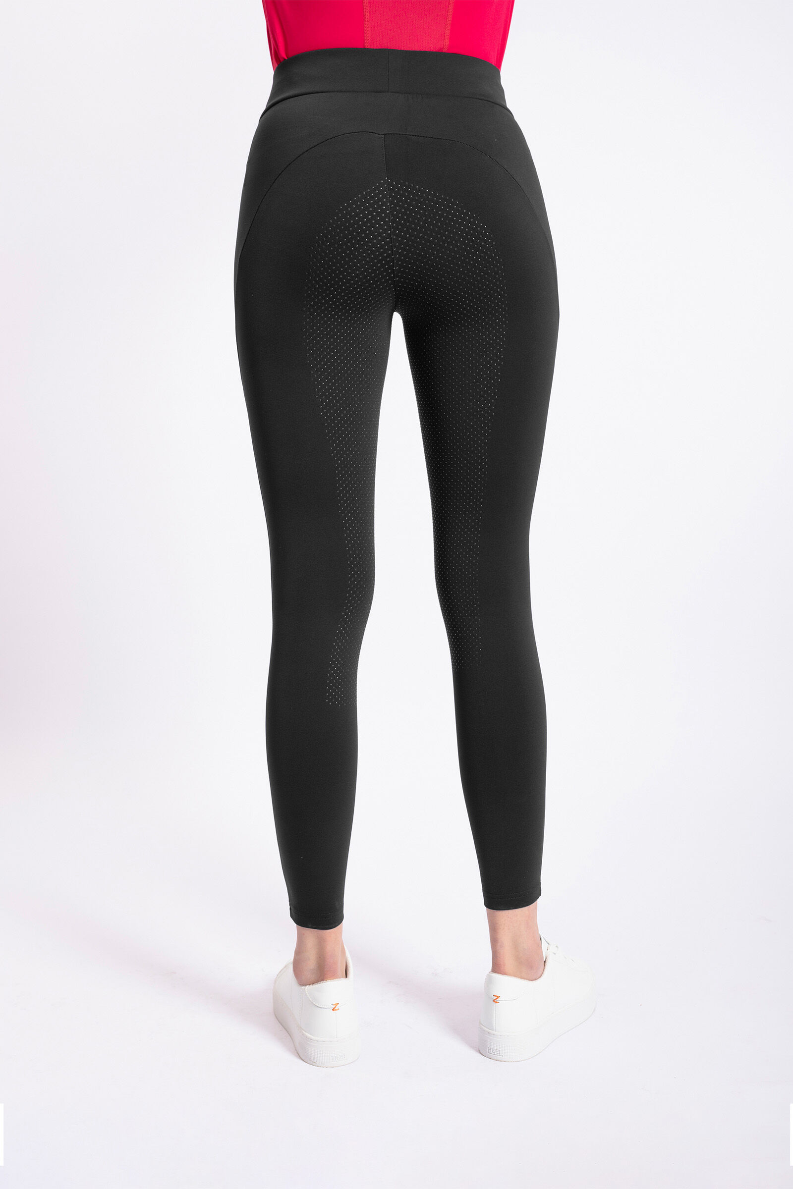 Tommy hilfiger women's tights sales