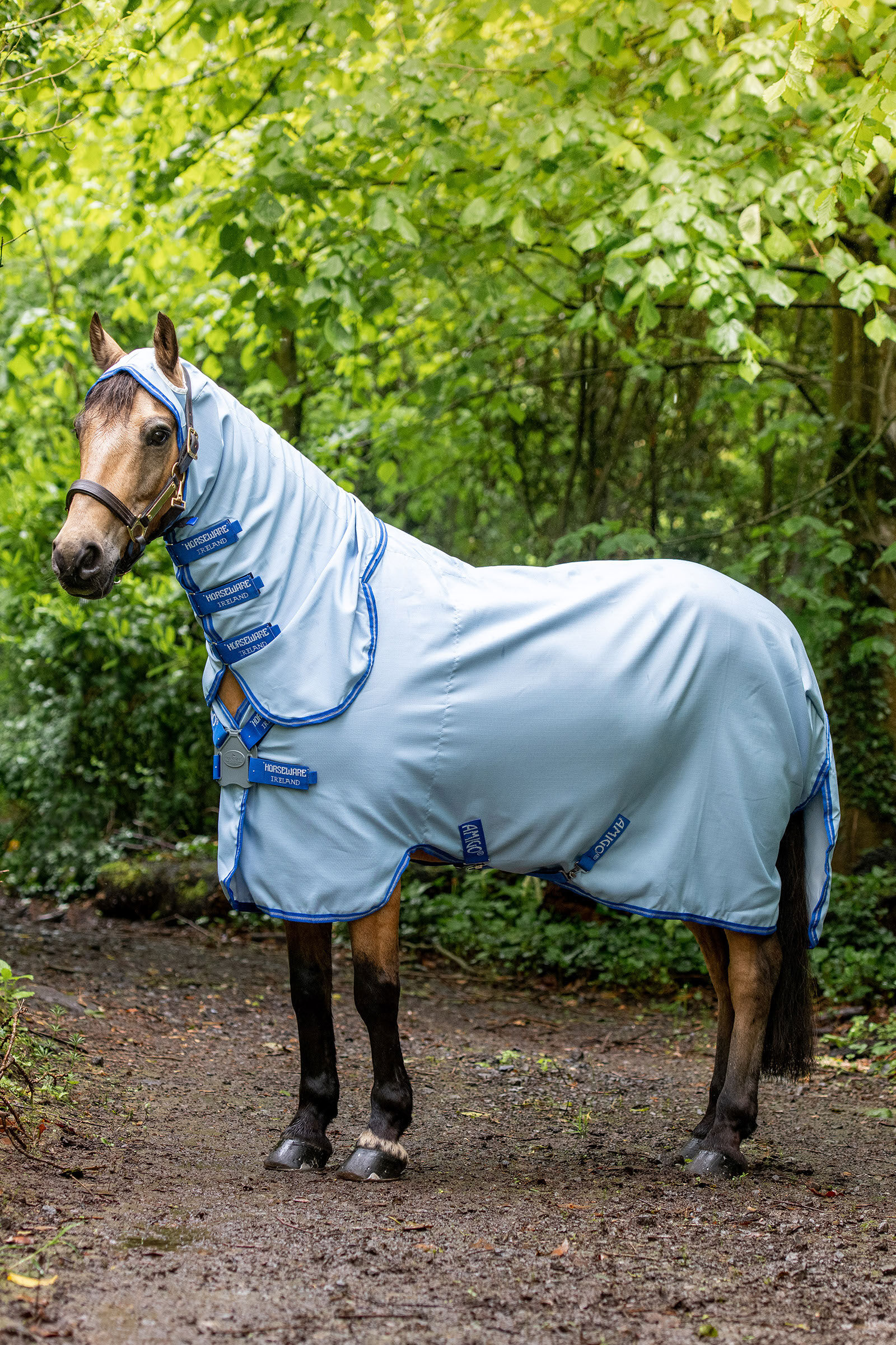 Horseware Amigo Hoody Pony Sweet Itch Rug with fixed Neck horze
