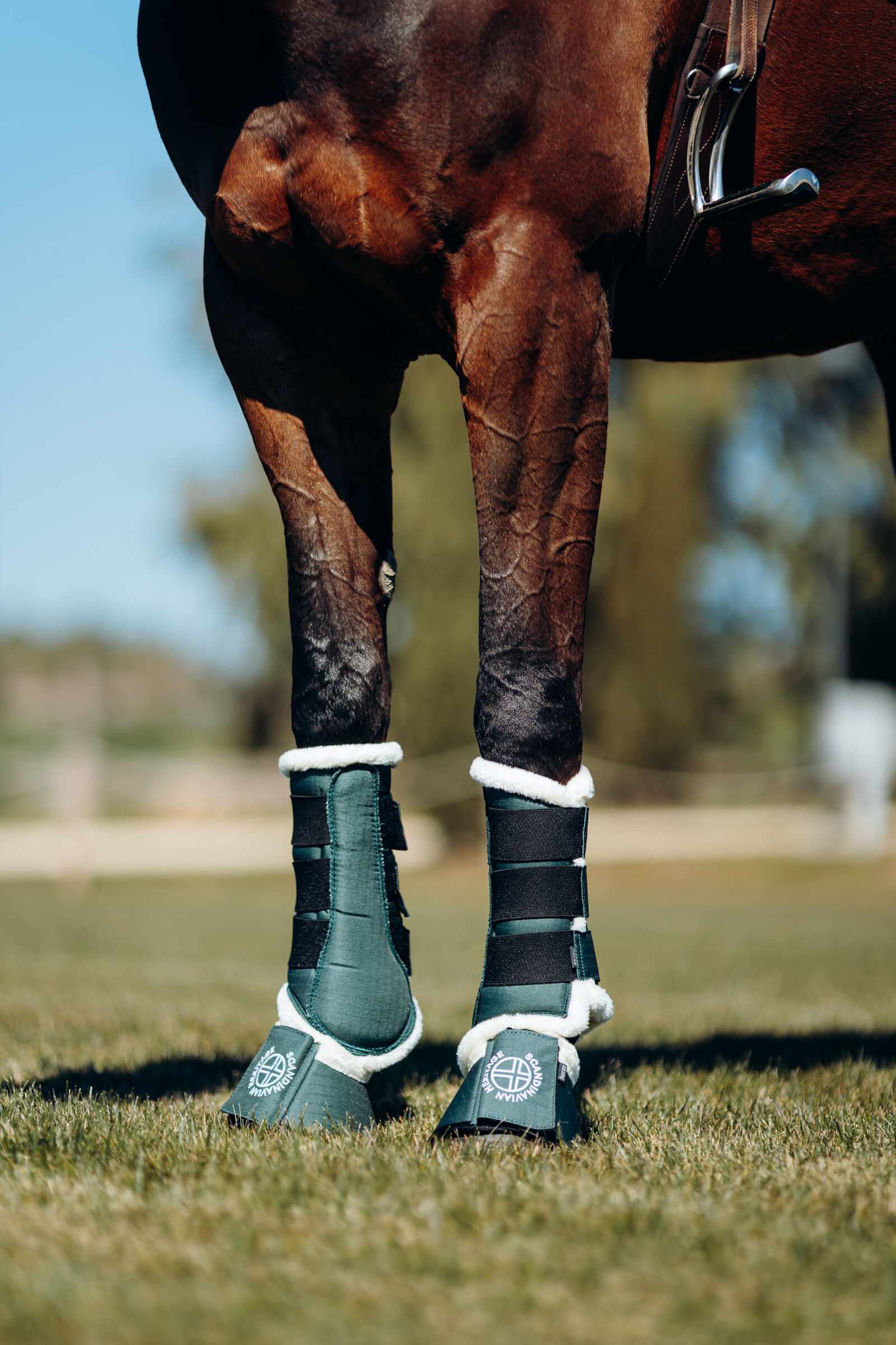 Bell boots discount and splint boots