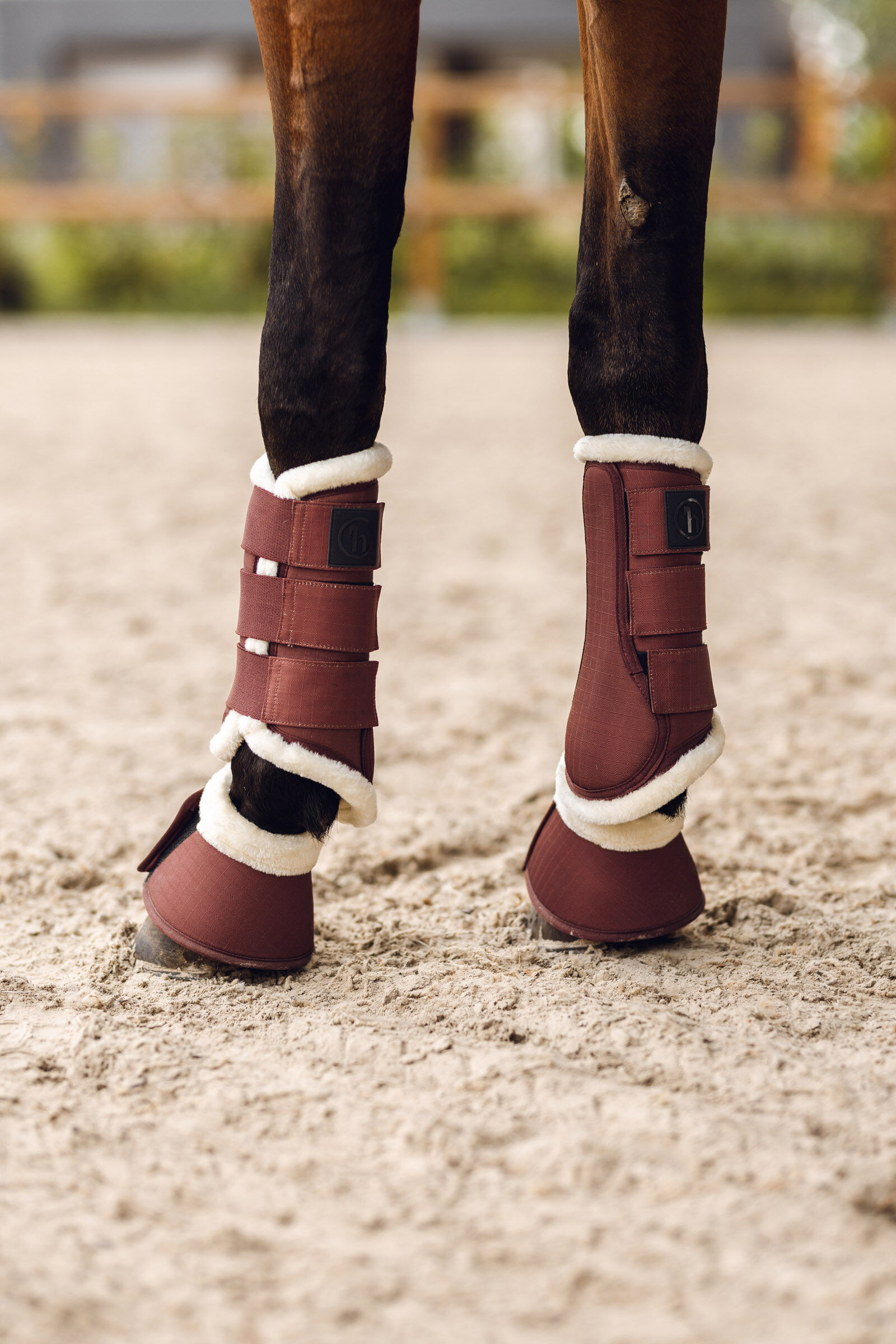 Gold discount horse boots