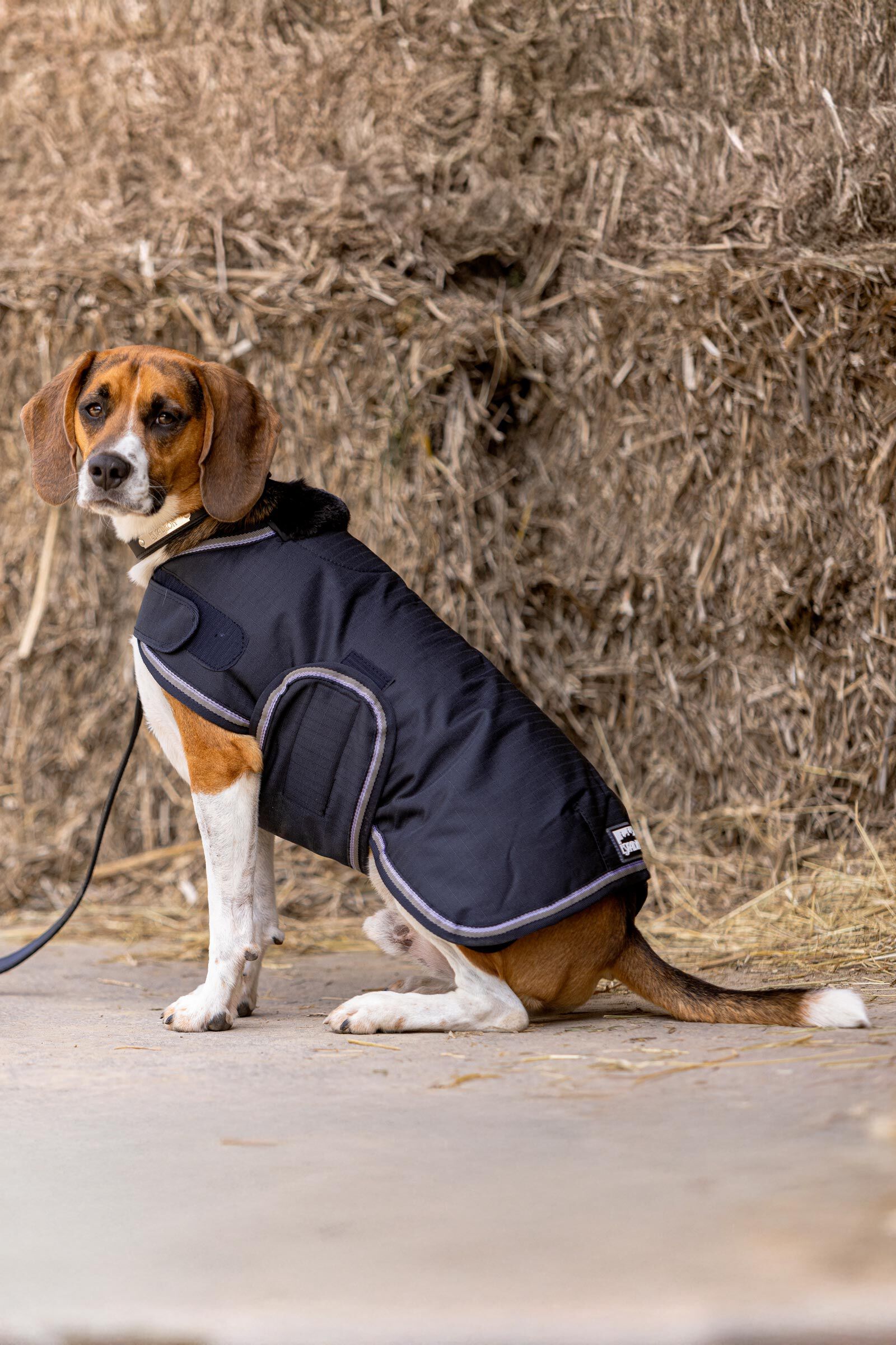 Eskadron Dog Coat RIPSTOP