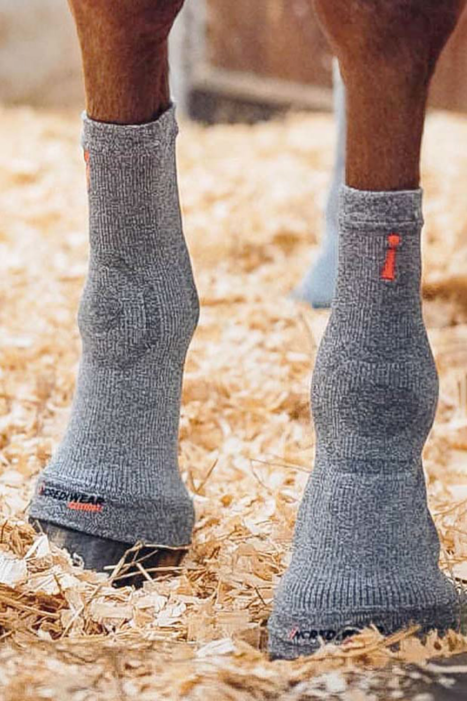 Hoof Boots horze