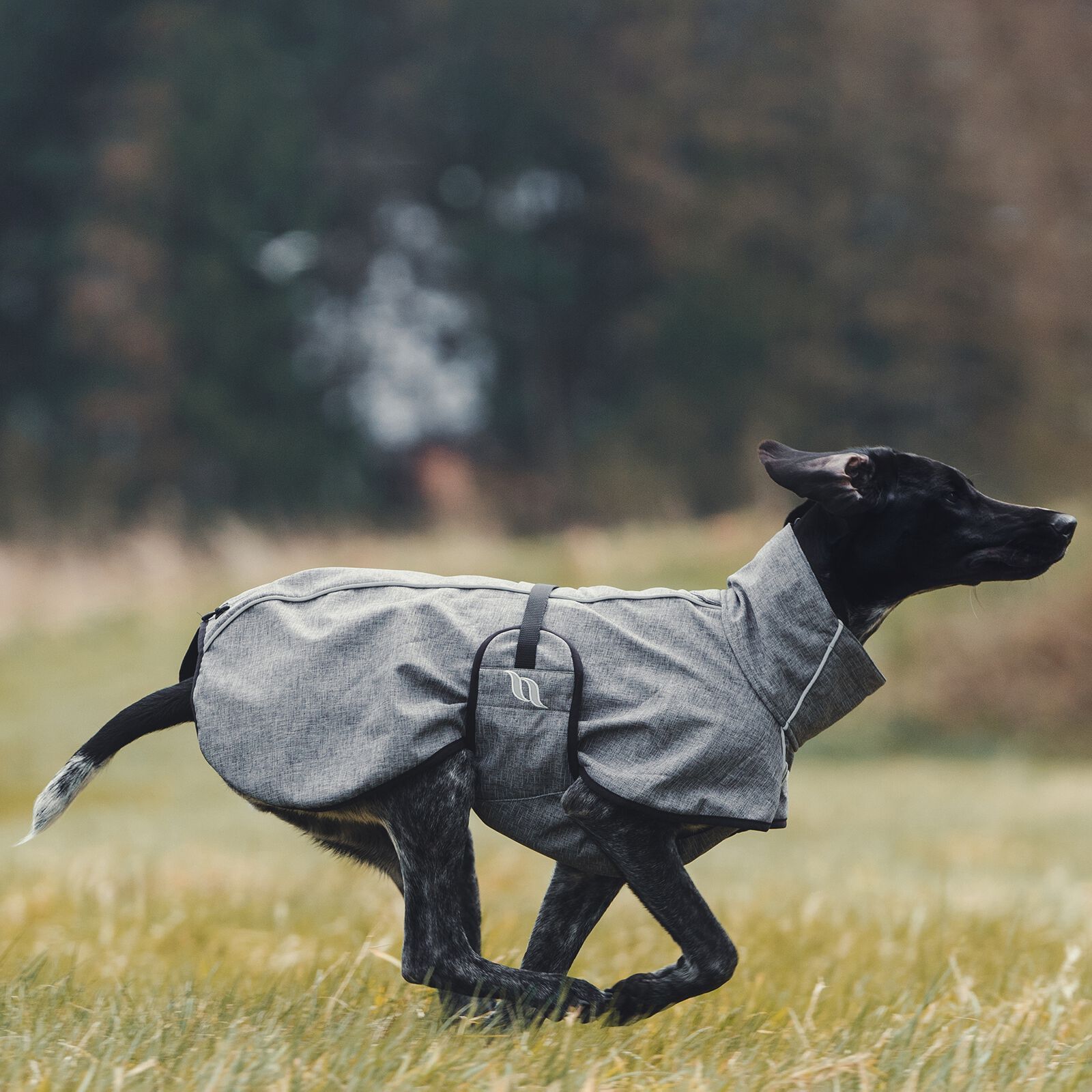 Back on Track Bark All Round Dog Coat 55 65cm horze