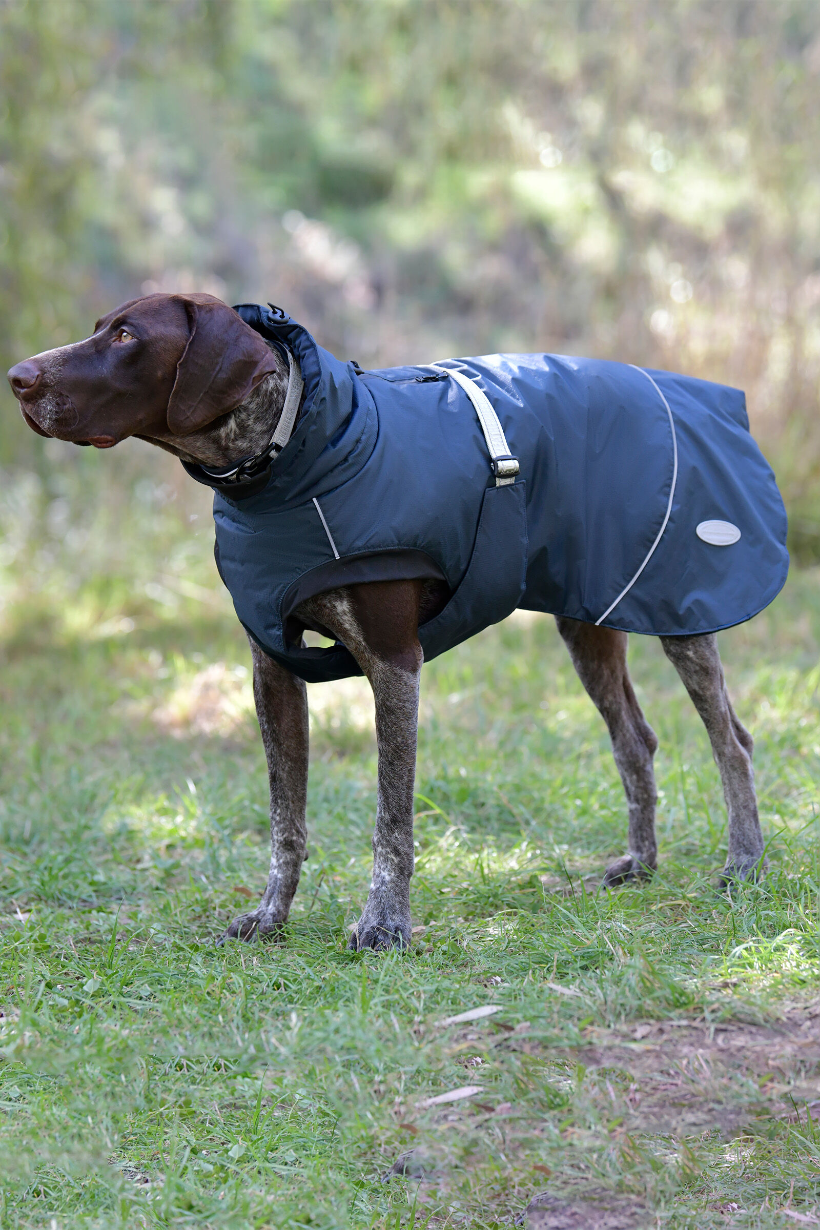 Dog wax outlet jacket uk