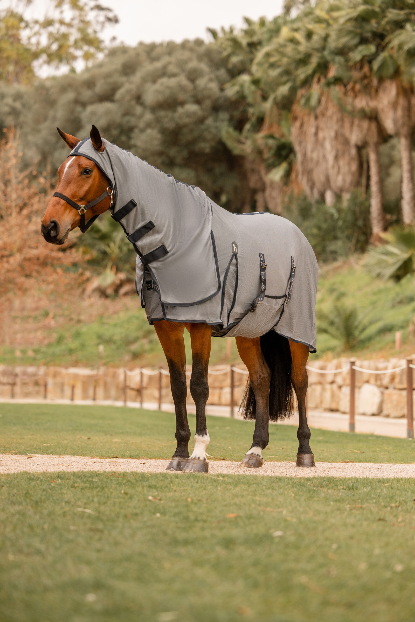 Fly rug shop