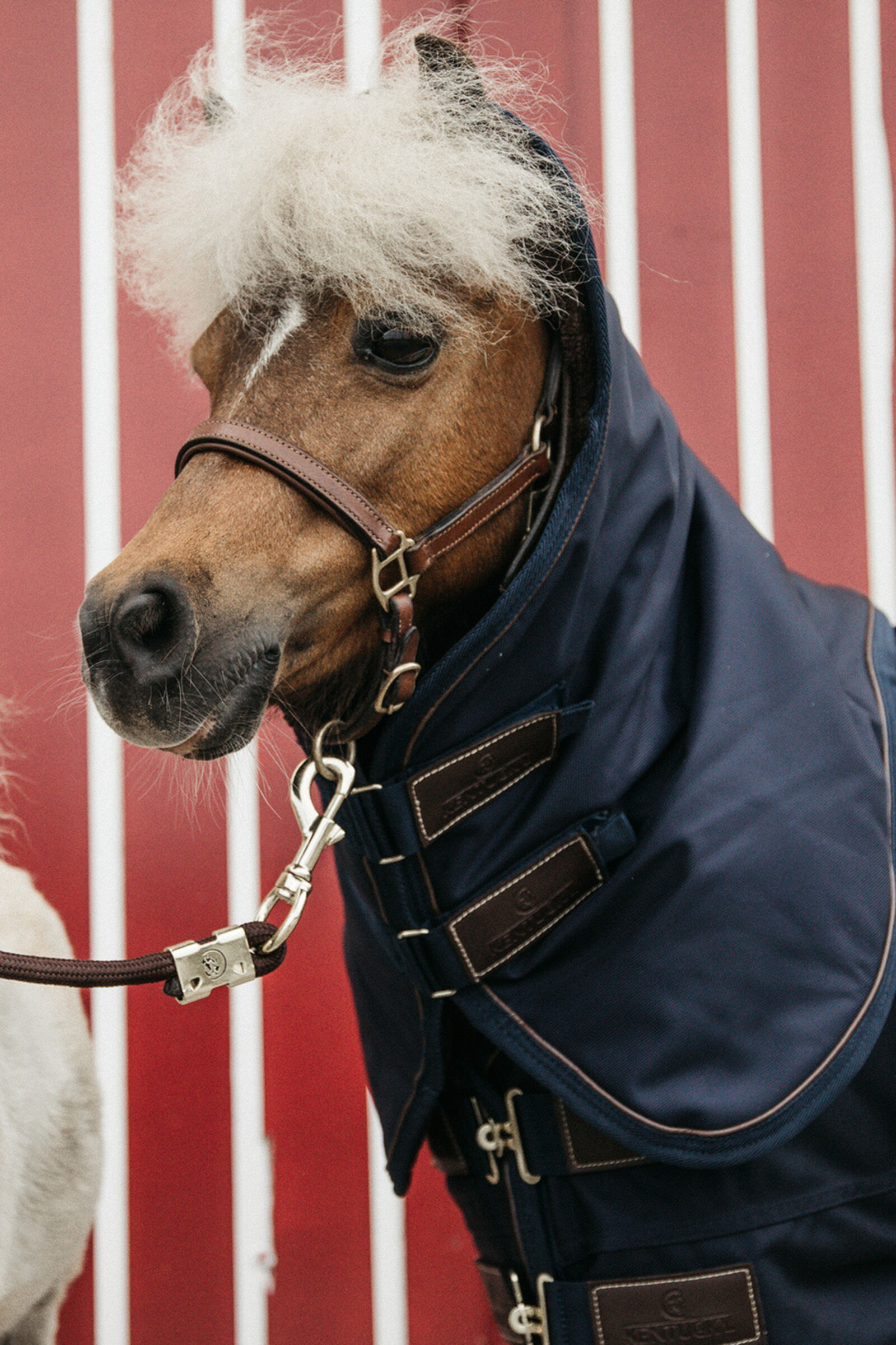 Kentucky Horsewear Pony All Weather Classic Turnout Rug 0g