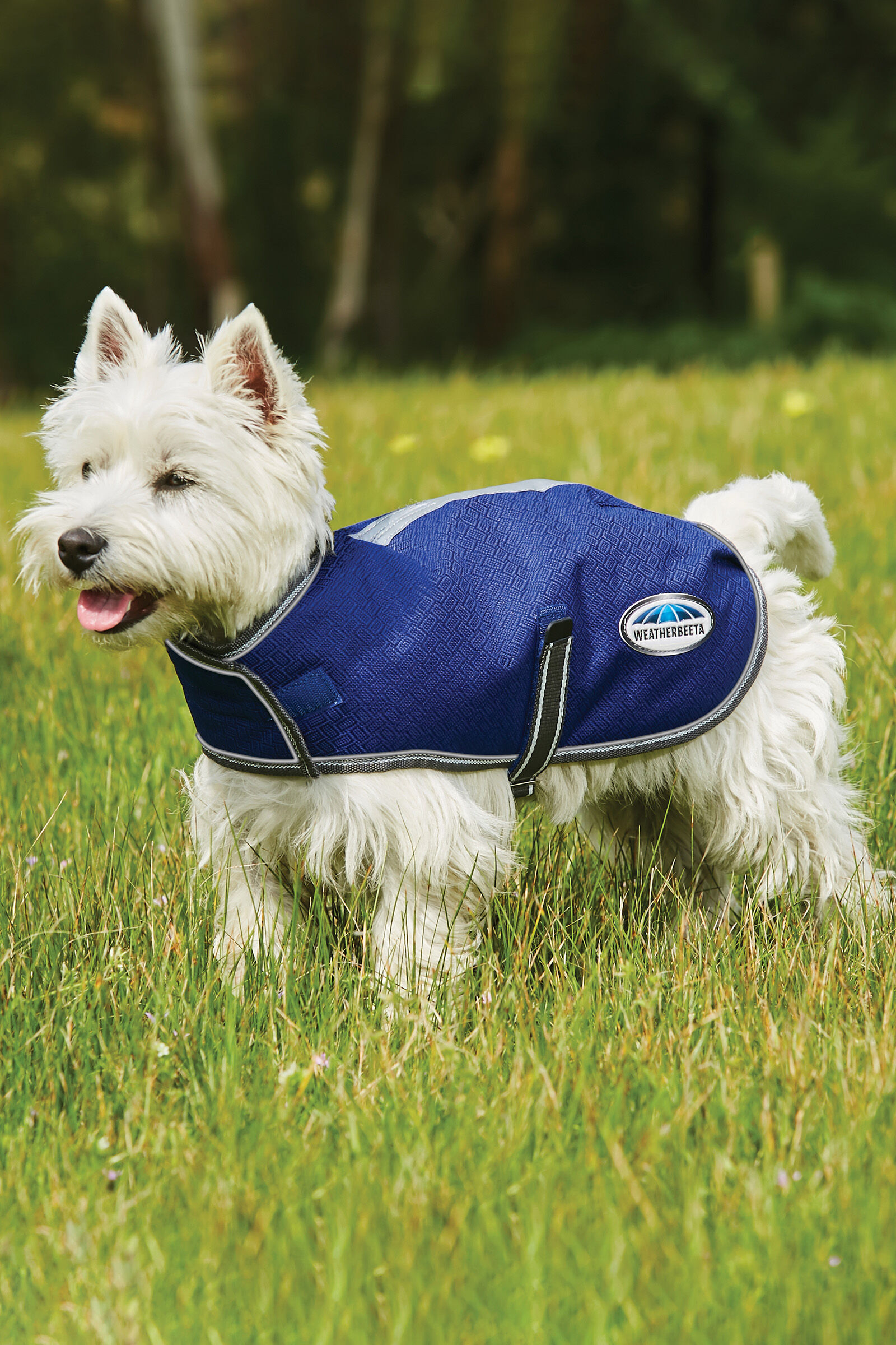 Parka hotsell for dogs