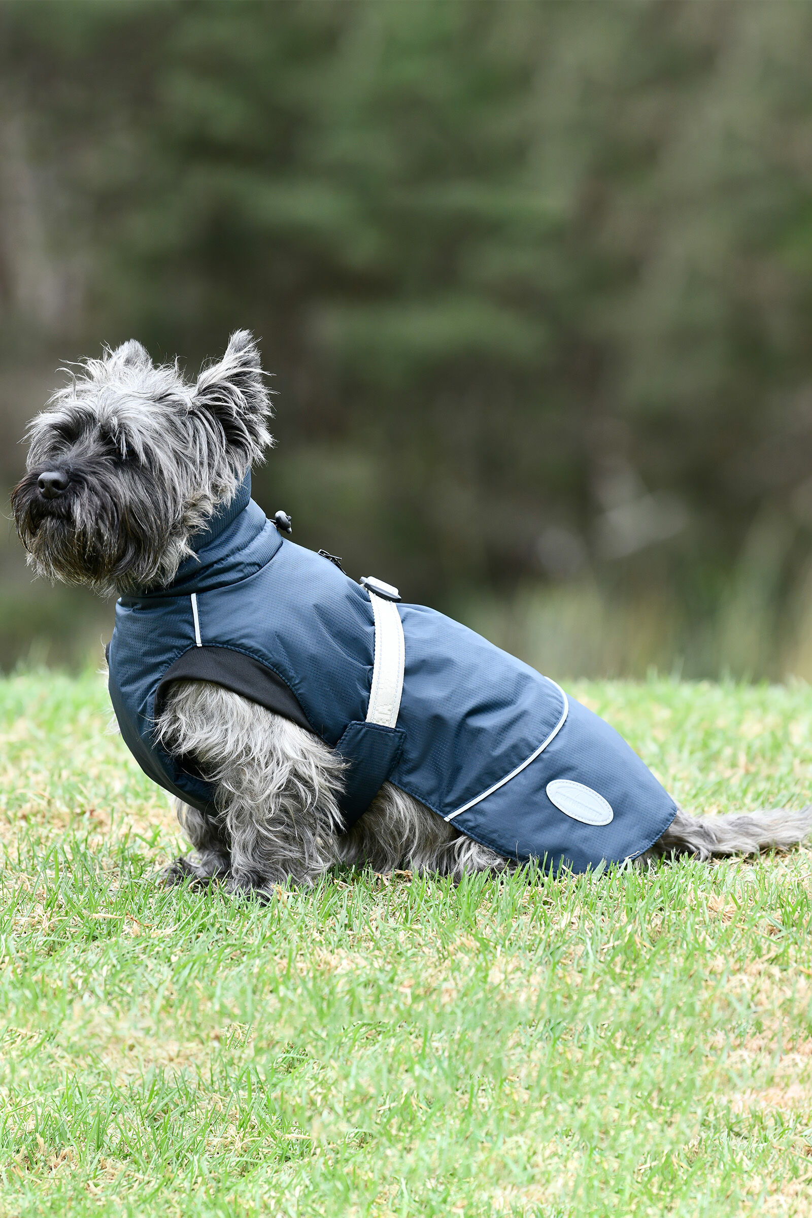 Muddy paws 2025 stormguard coat