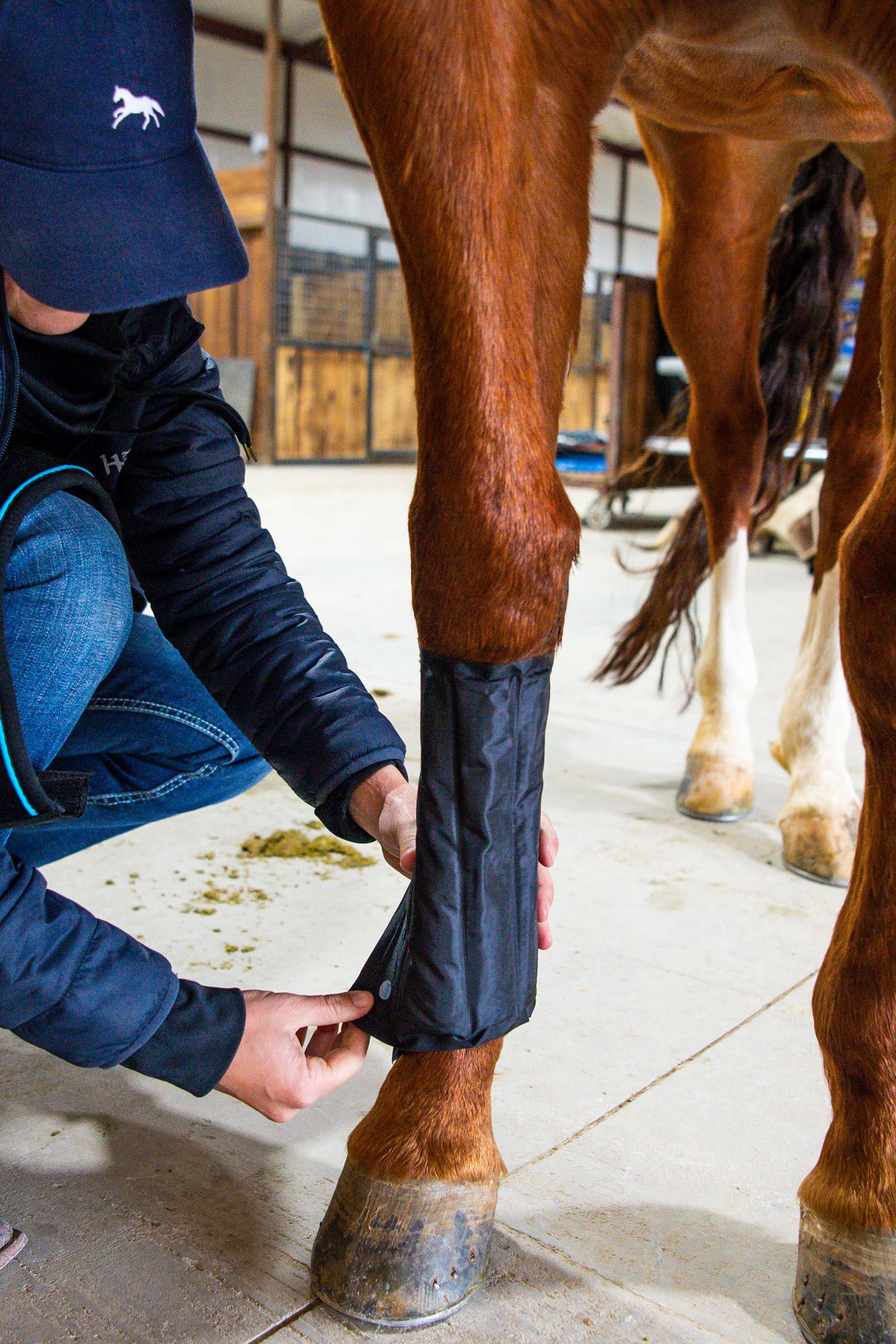 Ice vibe tendon boots on sale