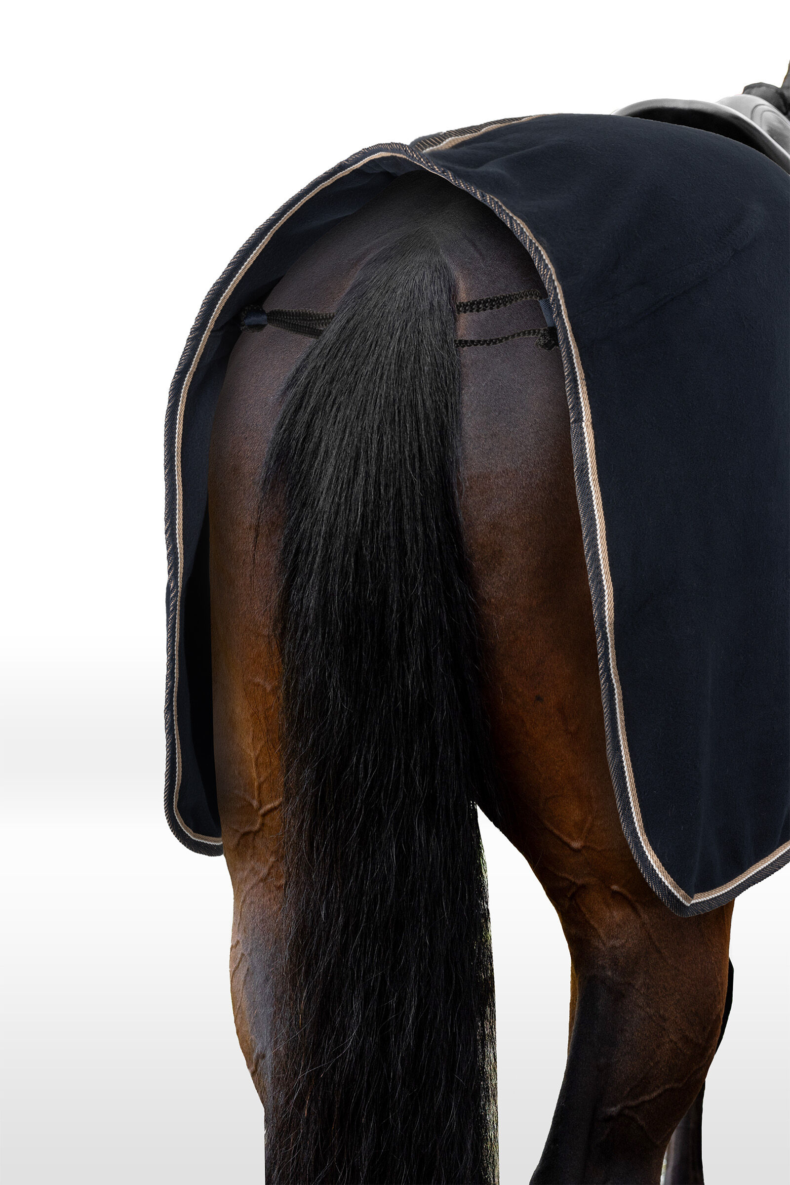 Horse tack horse riding equipment accessoires horze