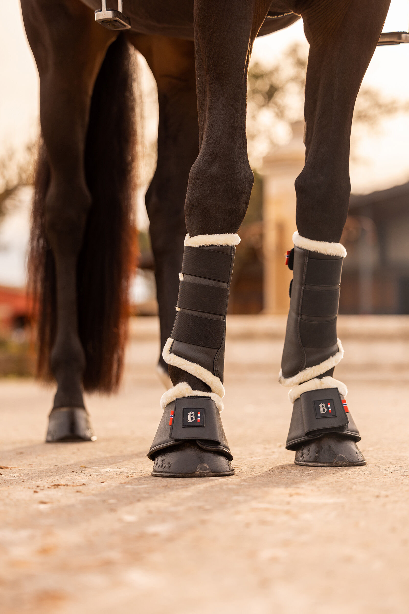 Bell boots for deals horses