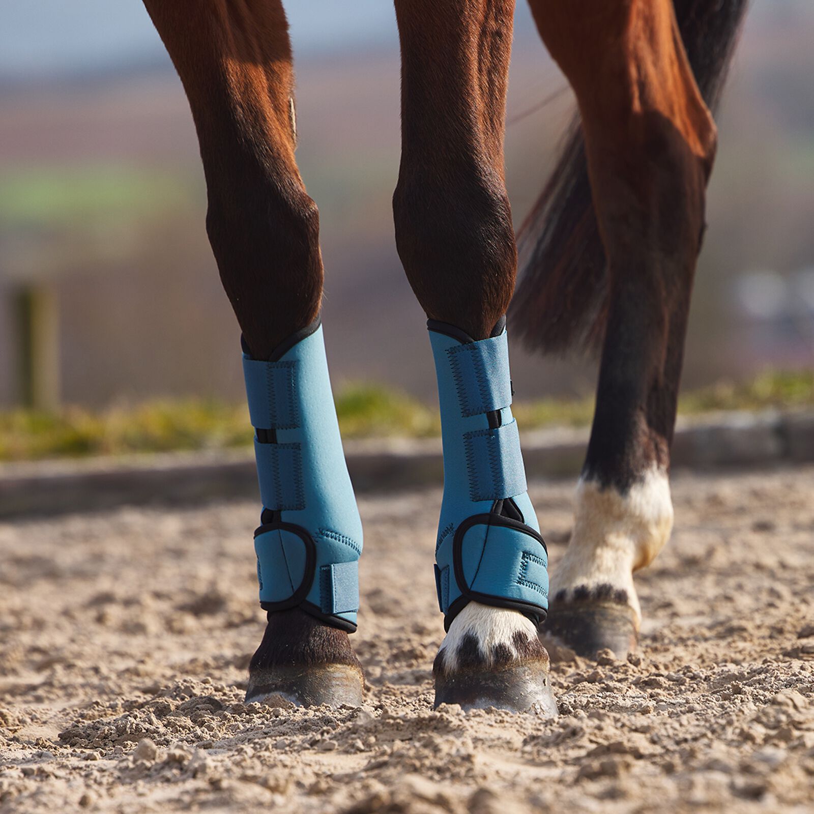 Horze Marquess Neoprene Brushing Boots horze