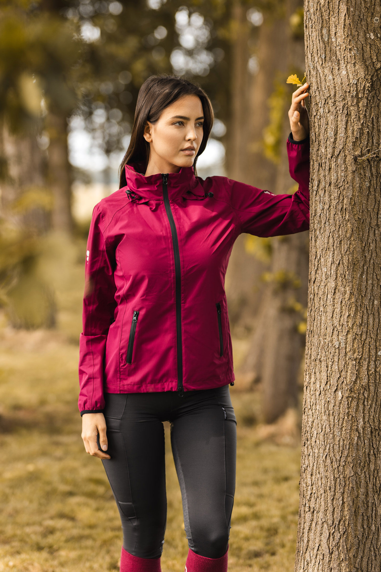 Horze softshell on sale jacket