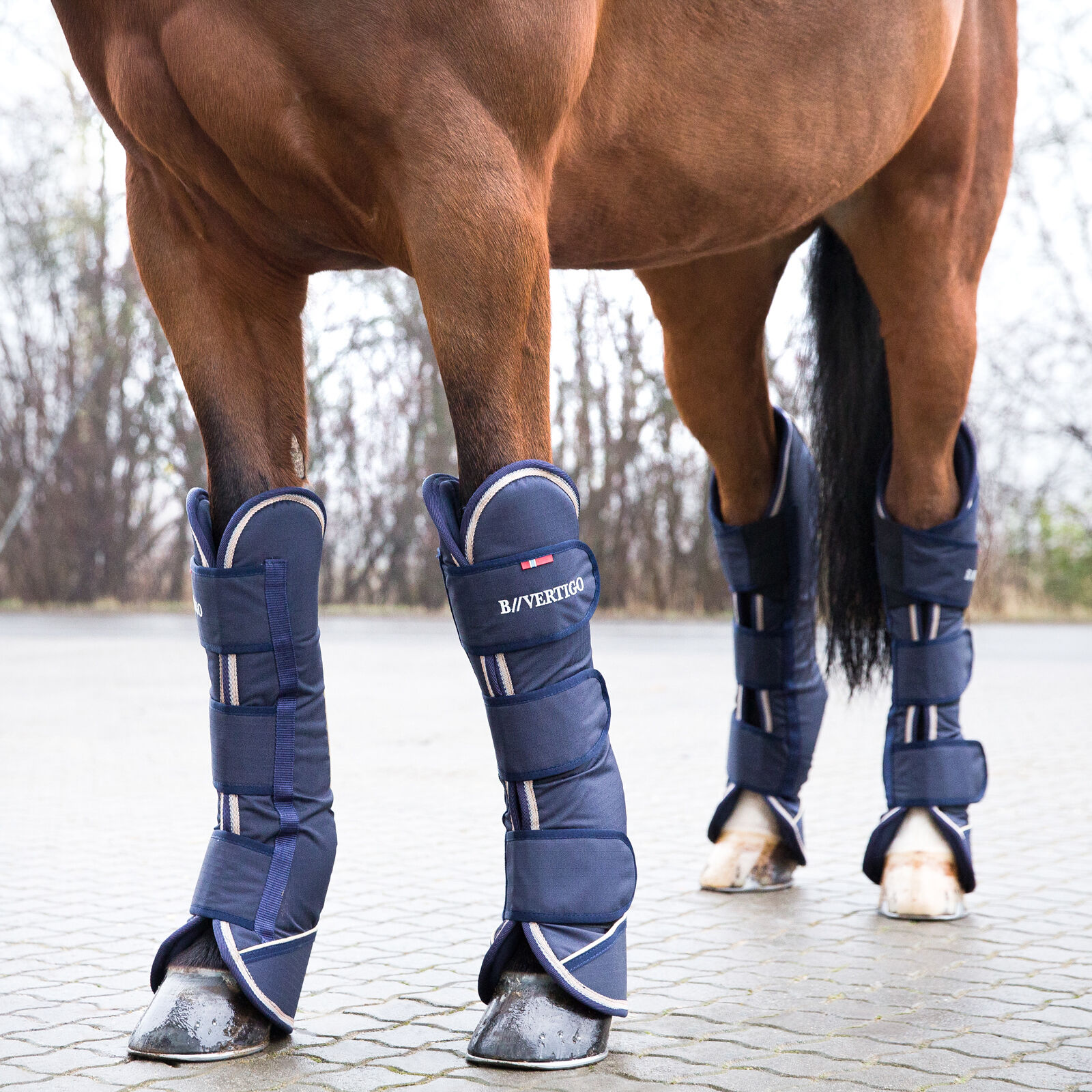 Horse travel shop boots