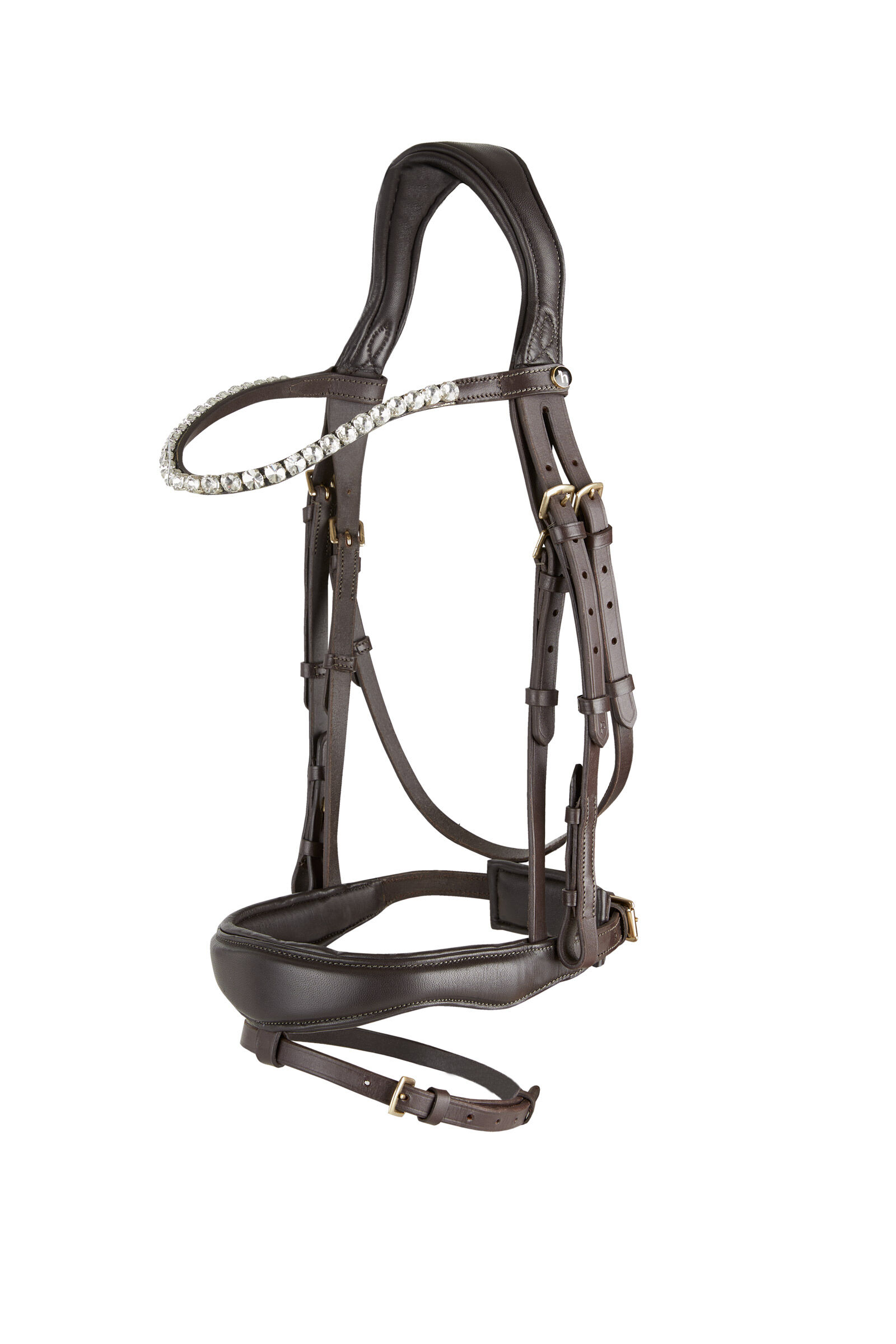 Anatomic bridle hot sale