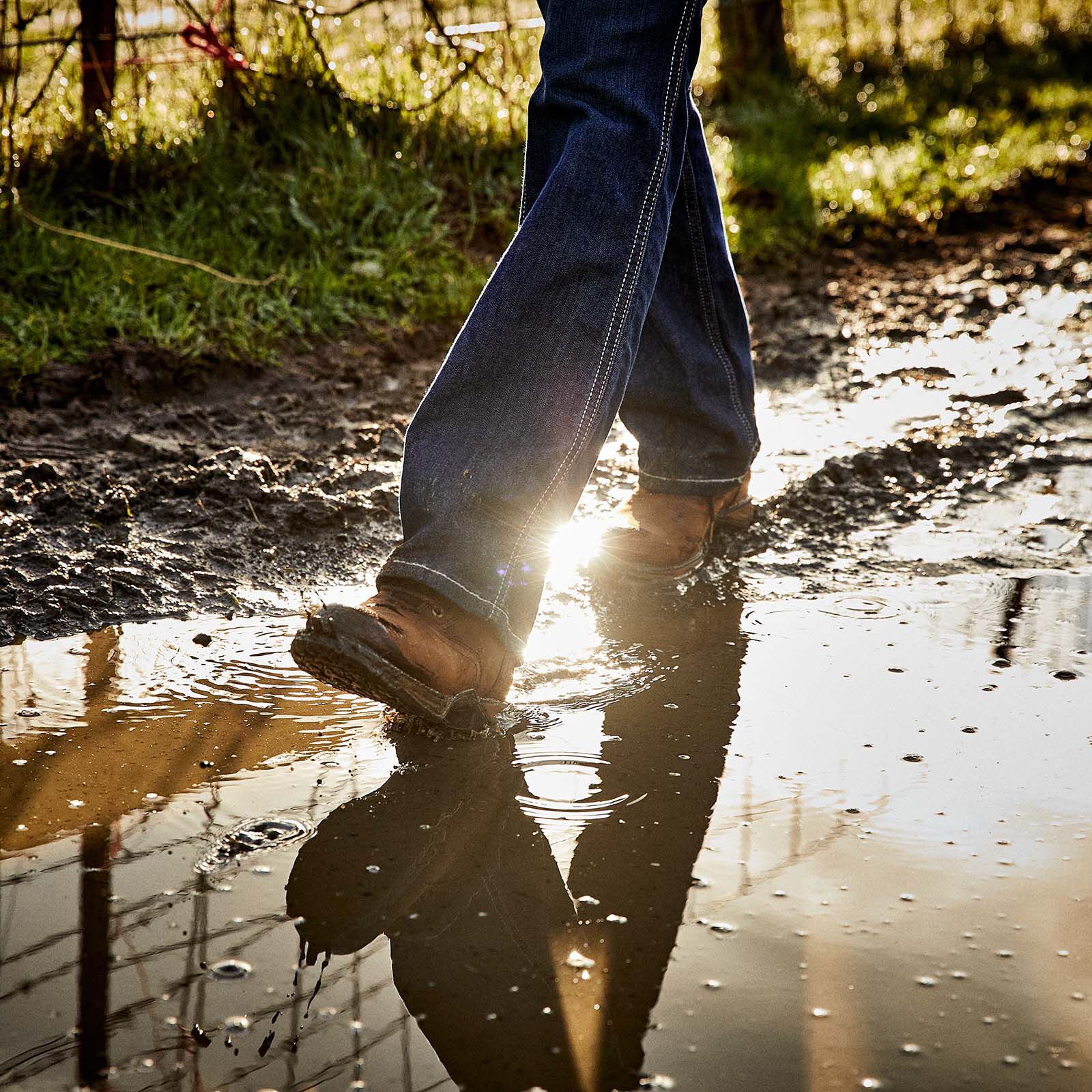 Ariat anthem clearance