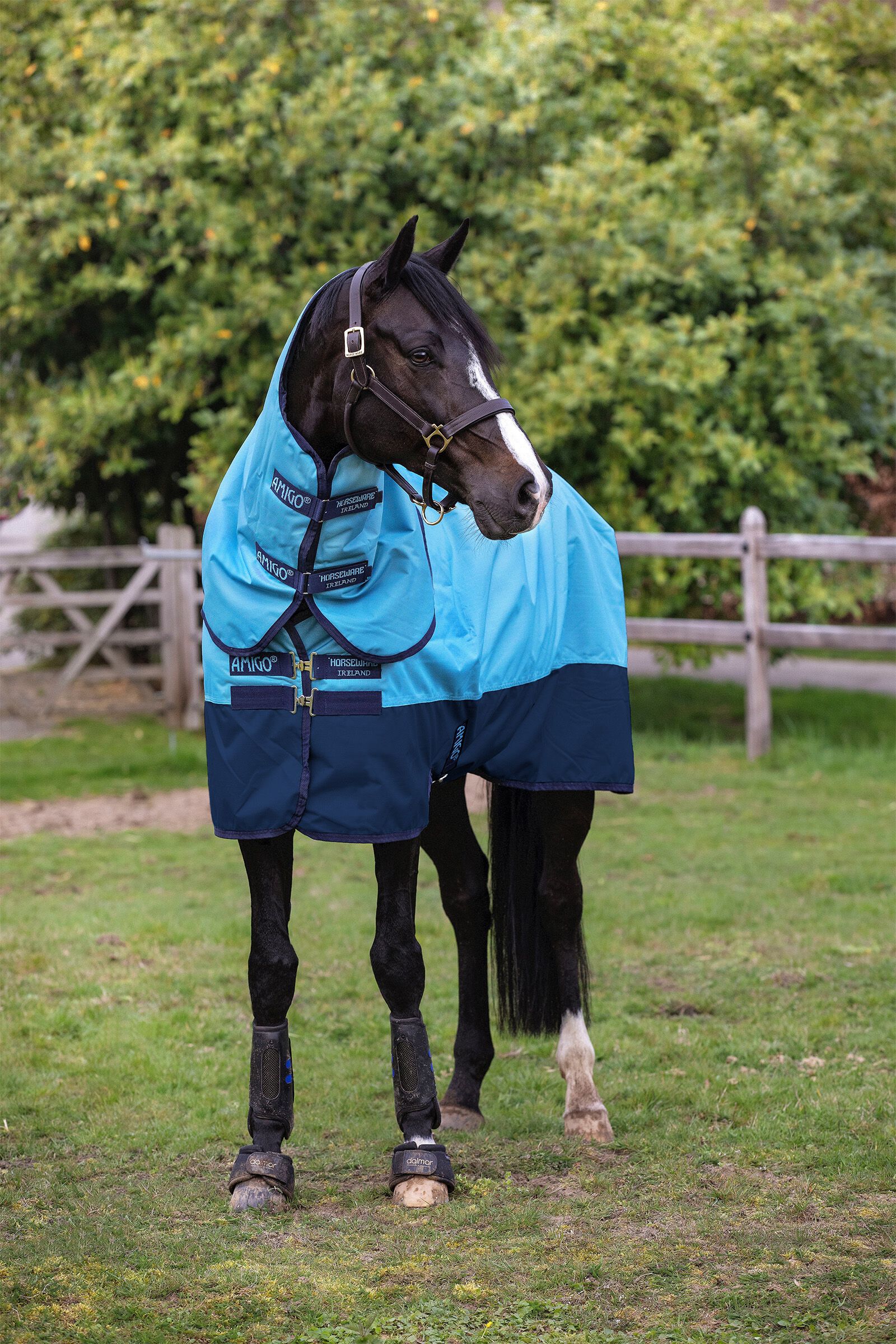 100g turnout deals rug
