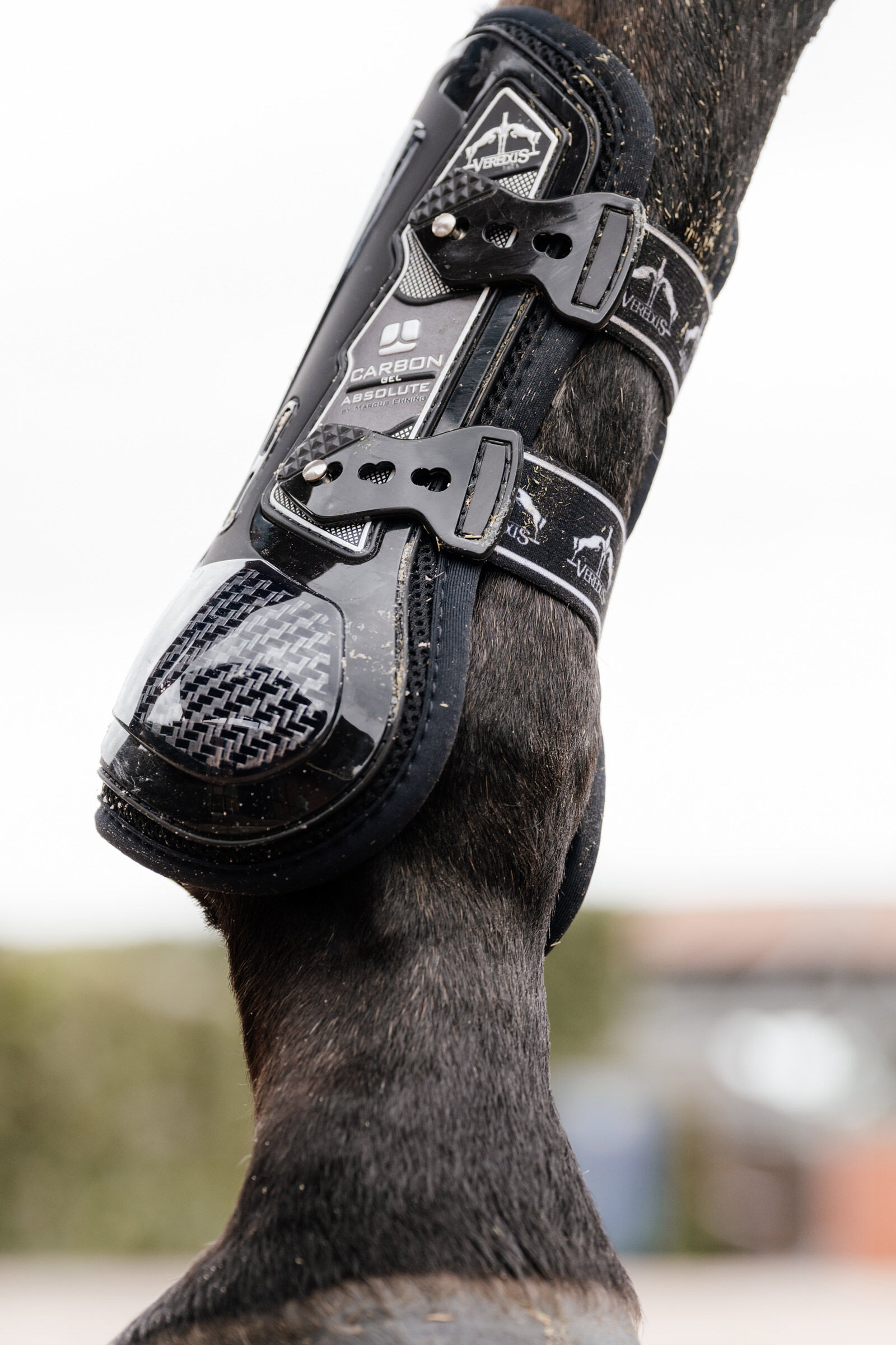 Veredus carbon gel tendon boots online